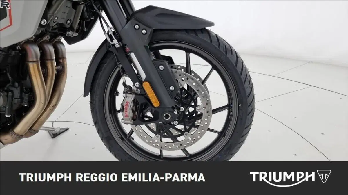 Triumph Tiger 1200 Alpine Edition (2020) (23)