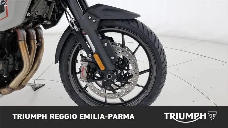 Triumph Tiger 1200 Alpine Edition (2020) (23)