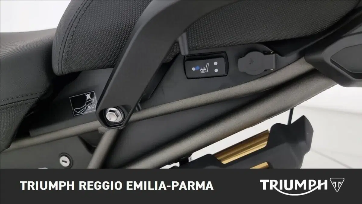Triumph Tiger 1200 Desert Edition (2020) (13)