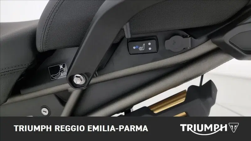 Triumph Tiger 1200 Desert Edition (2020) (13)