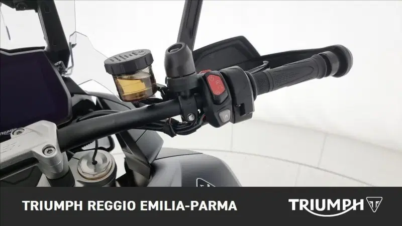 Triumph Tiger 1200 Desert Edition (2020) (10)
