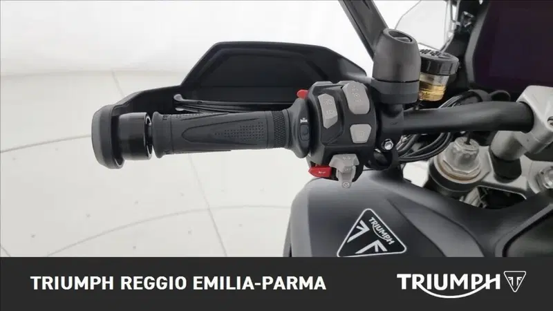 Triumph Tiger 1200 Desert Edition (2020) (11)