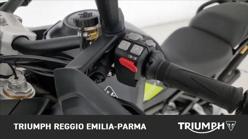 Triumph Tiger 1200 Desert Edition (2020) (12)
