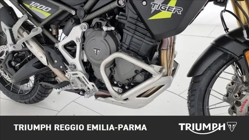 Triumph Tiger 1200 Desert Edition (2020) (21)