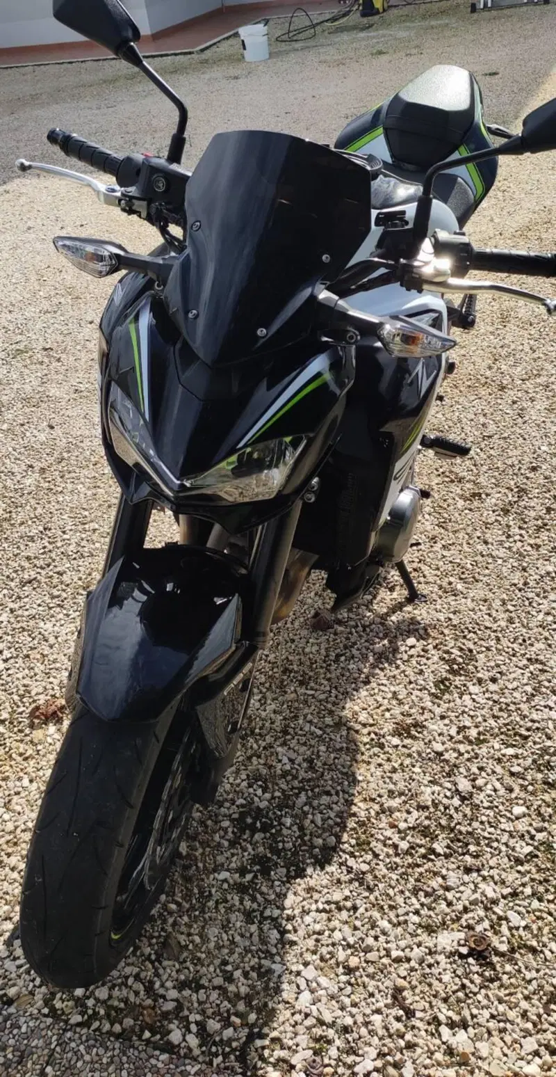 Kawasaki Z 900 Performance (2019) (2)