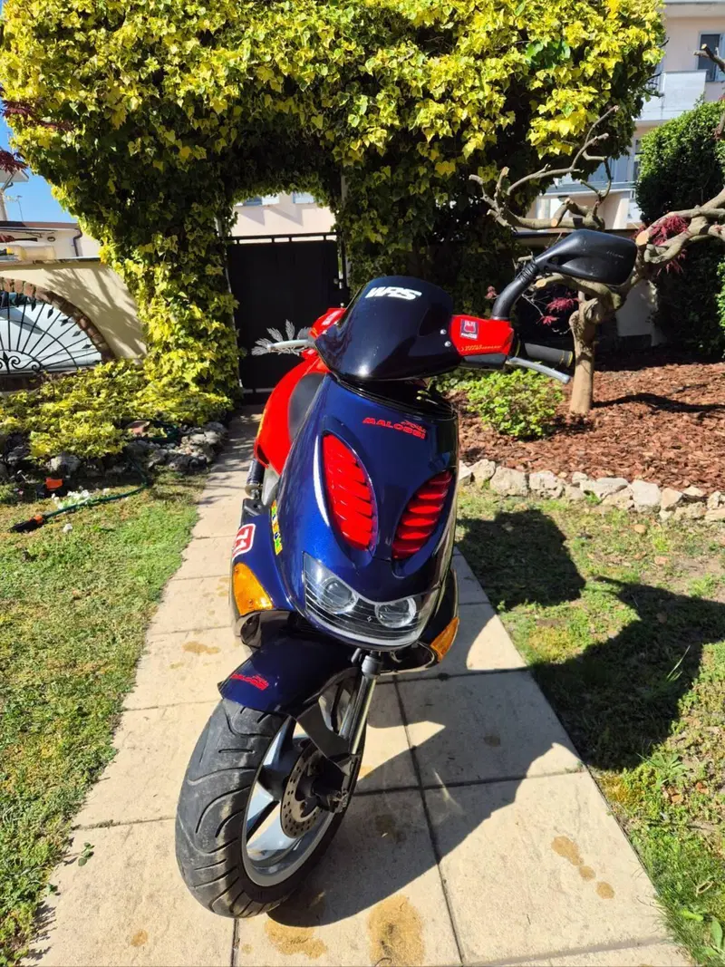 Aprilia SR 50 Racing LC (1998 - 02) (4)