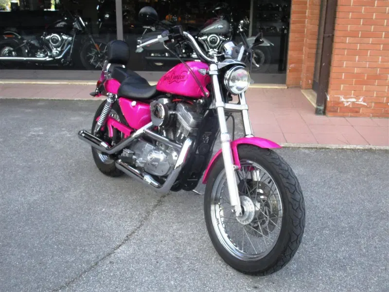 Harley-Davidson 883 Standard (2001 - 05) - XL 883 (2)
