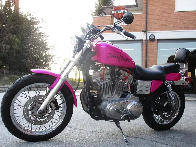 Harley-Davidson 883 Standard (2001 - 05) - XL 883 (3)