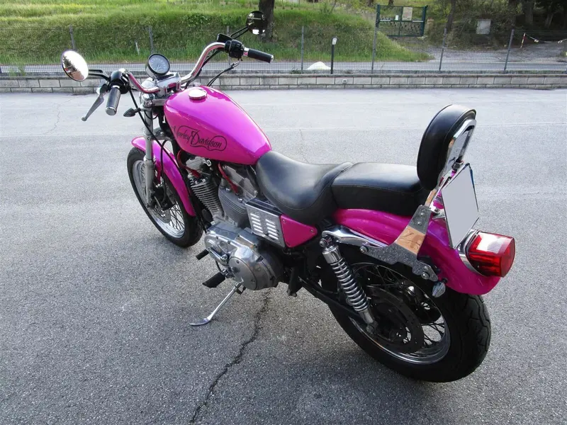 Harley-Davidson 883 Standard (2001 - 05) - XL 883 (4)