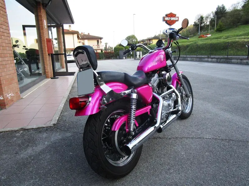 Harley-Davidson 883 Standard (2001 - 05) - XL 883 (5)