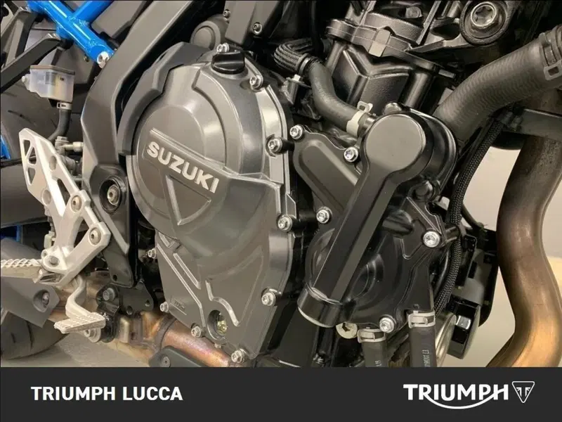 Suzuki GSX-8S (2023 - 24) (9)
