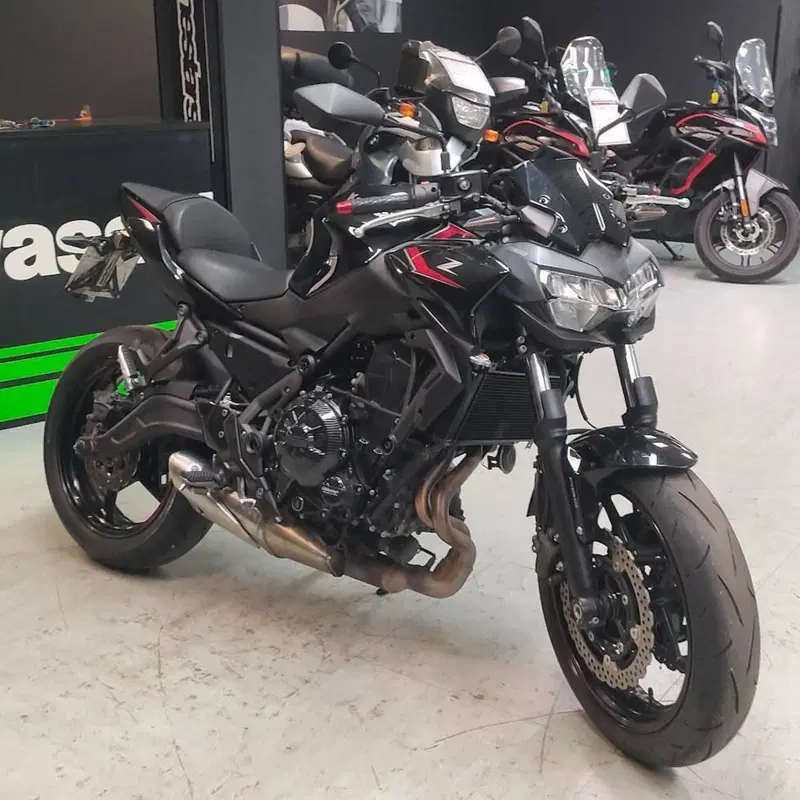 Kawasaki Z 650 (2025 - 26) (4)