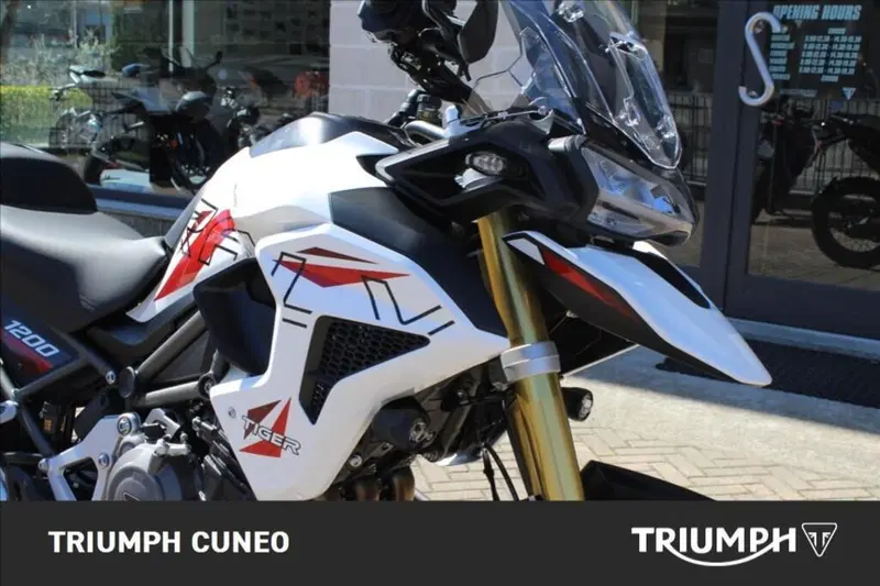 Triumph Tiger 1200 Desert Special Edition (2026) (4)