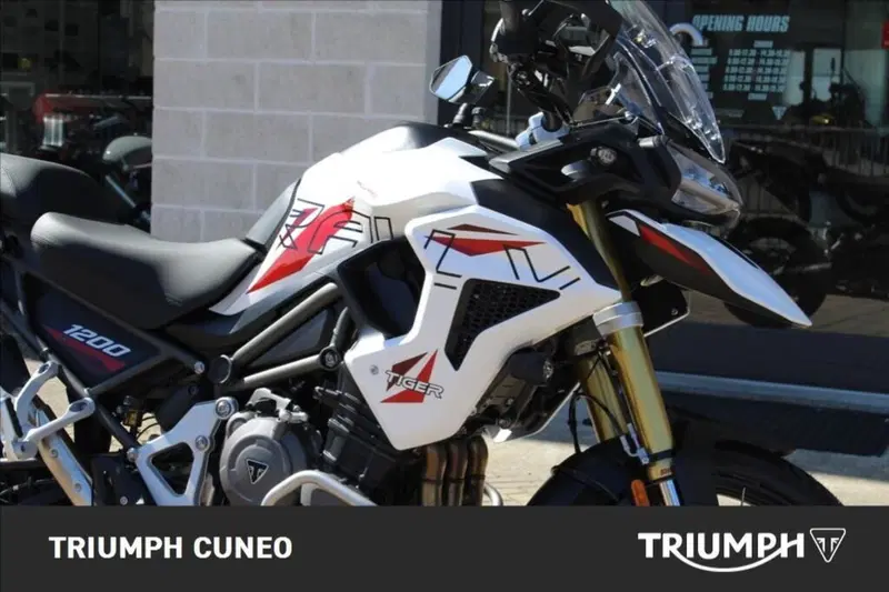 Triumph Tiger 1200 Desert Special Edition (2026) (3)