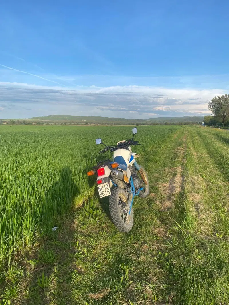 Suzuki DR 600 S (1985 - 90) (3)