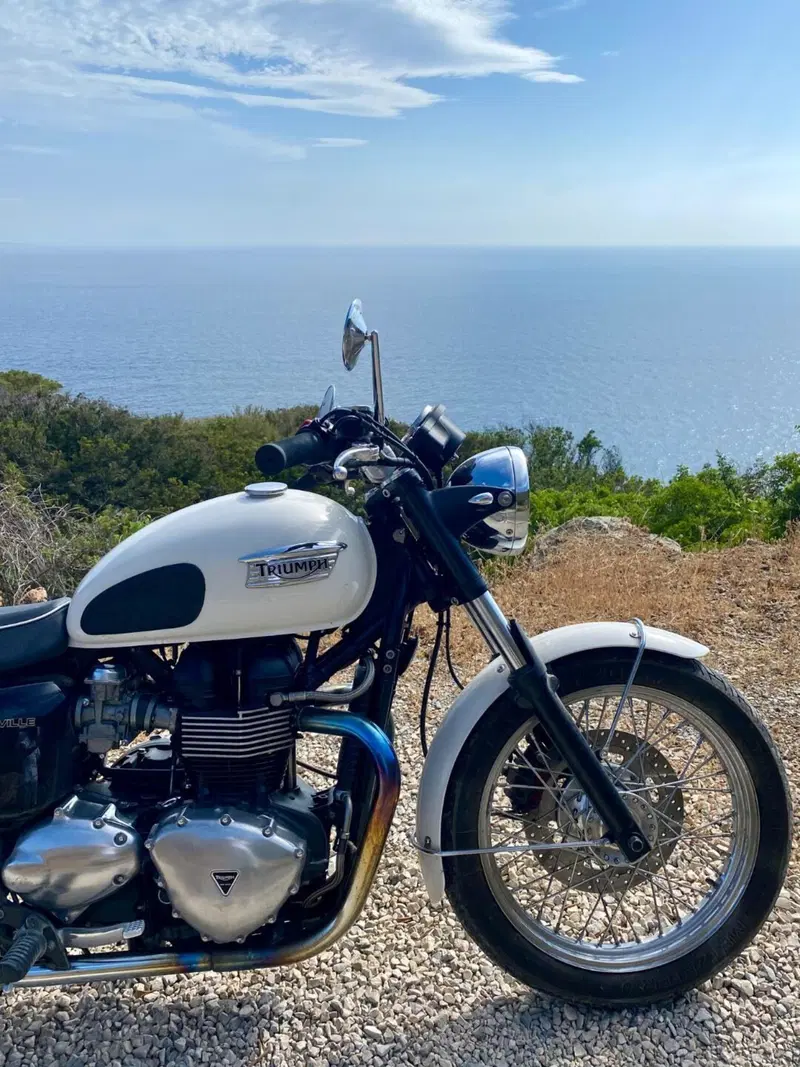 Triumph Bonneville T100 (2008 - 16) (9)