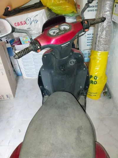 Motom Gypsy 50 usata