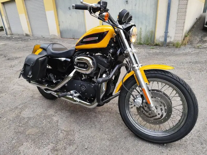 Harley-Davidson 1200 Roadster (2006 - 08) - XL 1200R (2)