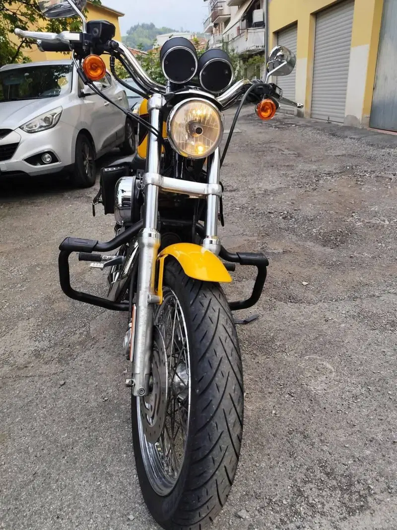 Harley-Davidson 1200 Roadster (2006 - 08) - XL 1200R (3)