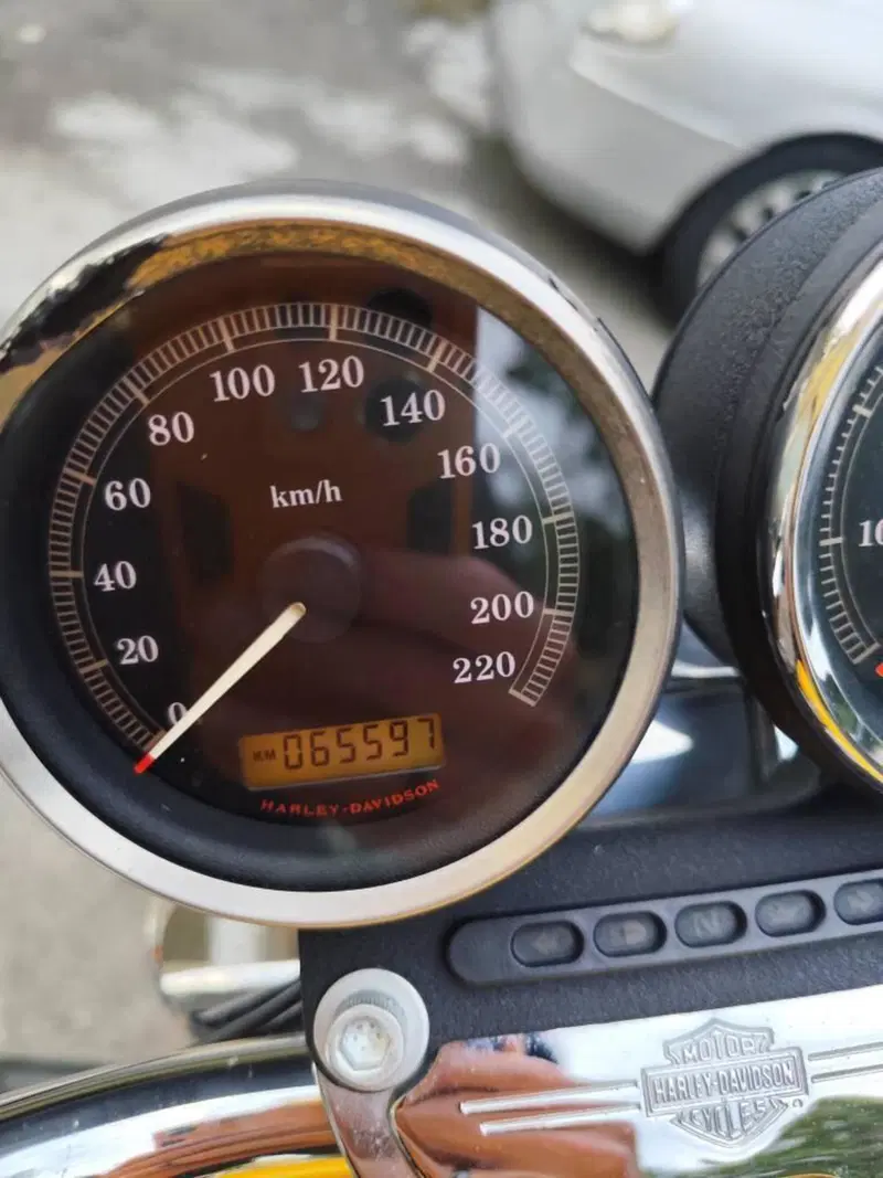 Harley-Davidson 1200 Roadster (2006 - 08) - XL 1200R (4)