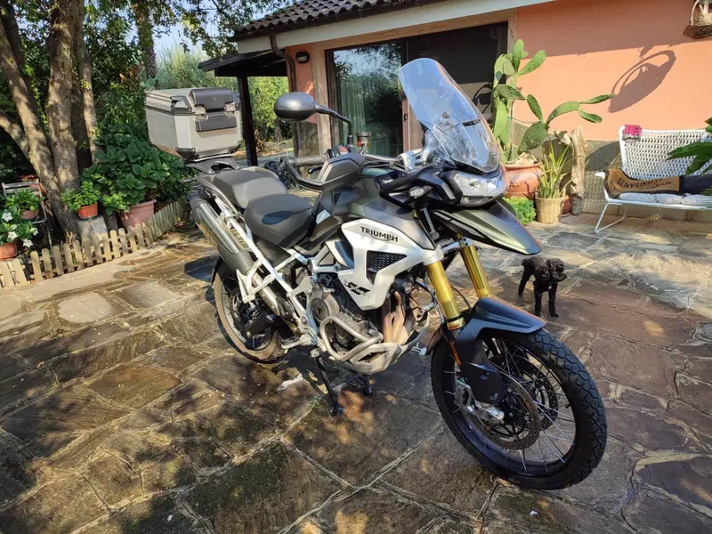 Triumph Tiger 1200 Rally Pro (2022 - 23) (3)