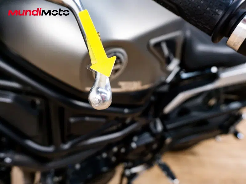 Benelli Leoncino 800 (2022 - 26) (16)