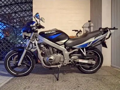 Suzuki GS 500 (2001 - 06) usata