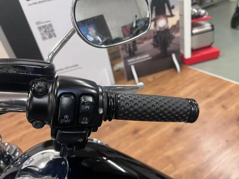 Harley-Davidson Road King Classic (2021 - 22) (10)