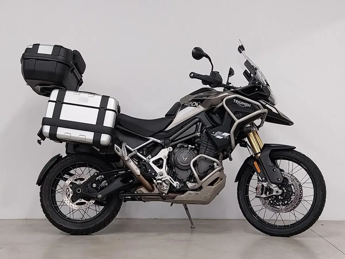 Triumph Tiger 1200 Rally Pro (2024 - 26)