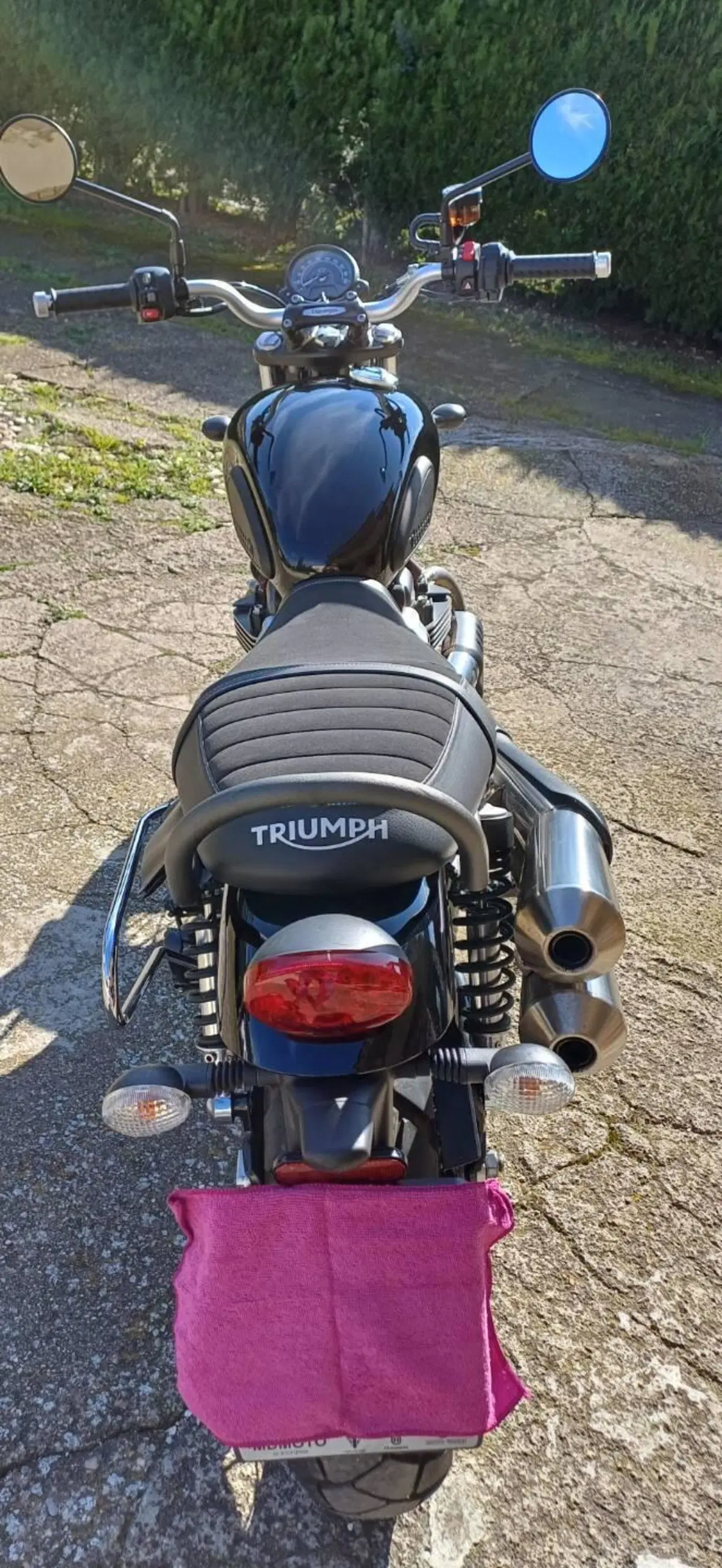 Triumph Street Scrambler 900 (2017 - 18) (5)