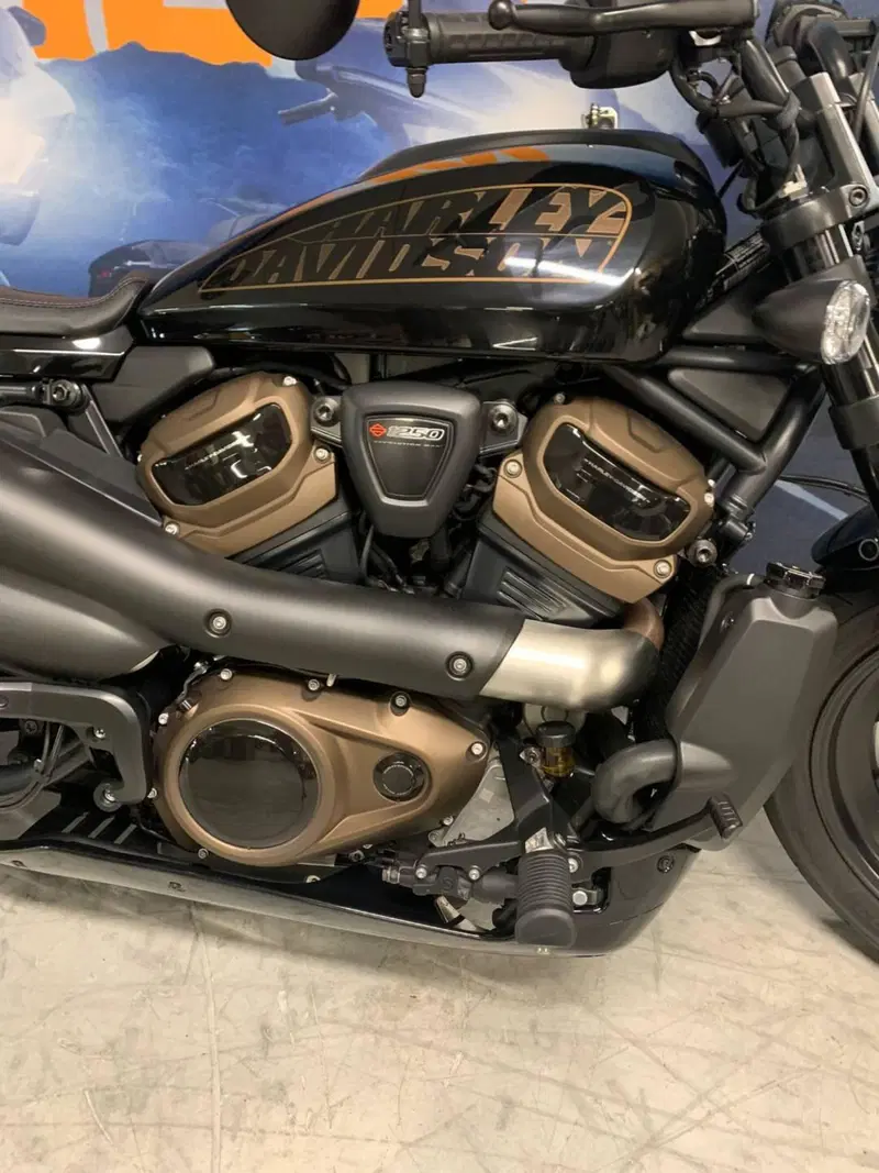 Harley-Davidson Sportster S (2022 - 24) (3)