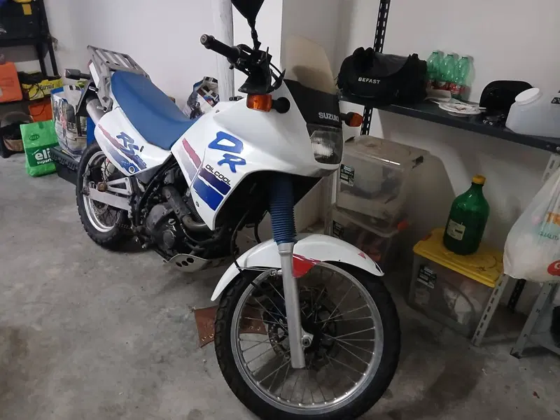 Suzuki DR 650 RS (1989 - 90) (3)