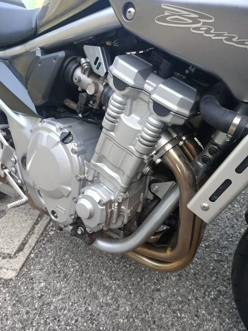 Suzuki GSF 1250 Bandit S (2006 - 11) (10)