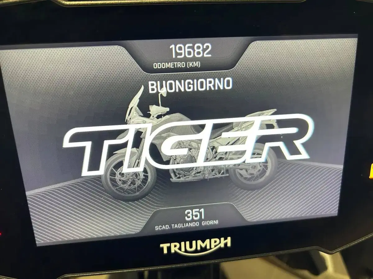 Triumph Tiger 900 Rally Pro (2020 - 23) (5)