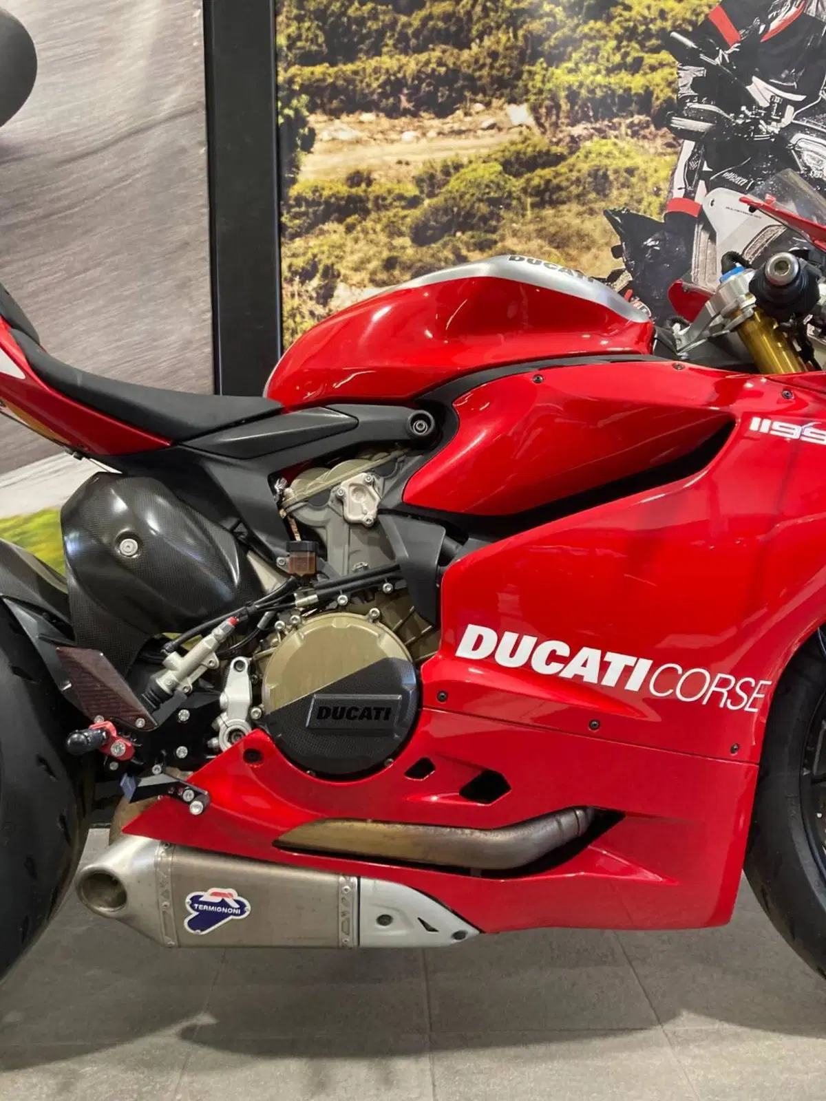 Ducati 1199 Panigale R ABS (2013 - 17) (2)