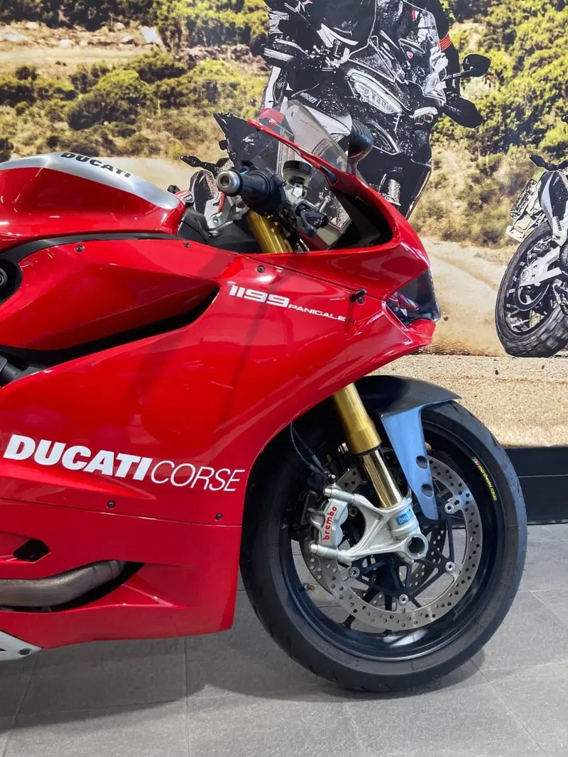 Ducati 1199 Panigale R ABS (2013 - 17) (5)