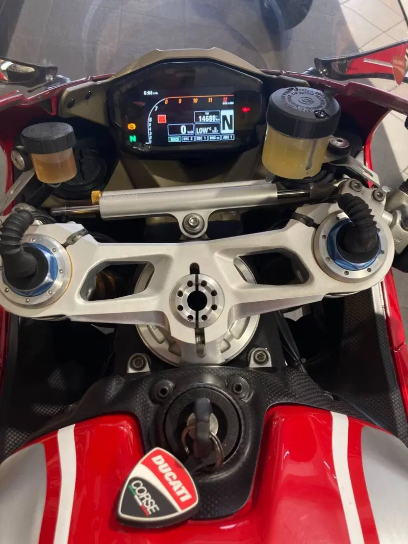 Ducati 1199 Panigale R ABS (2013 - 17) (7)