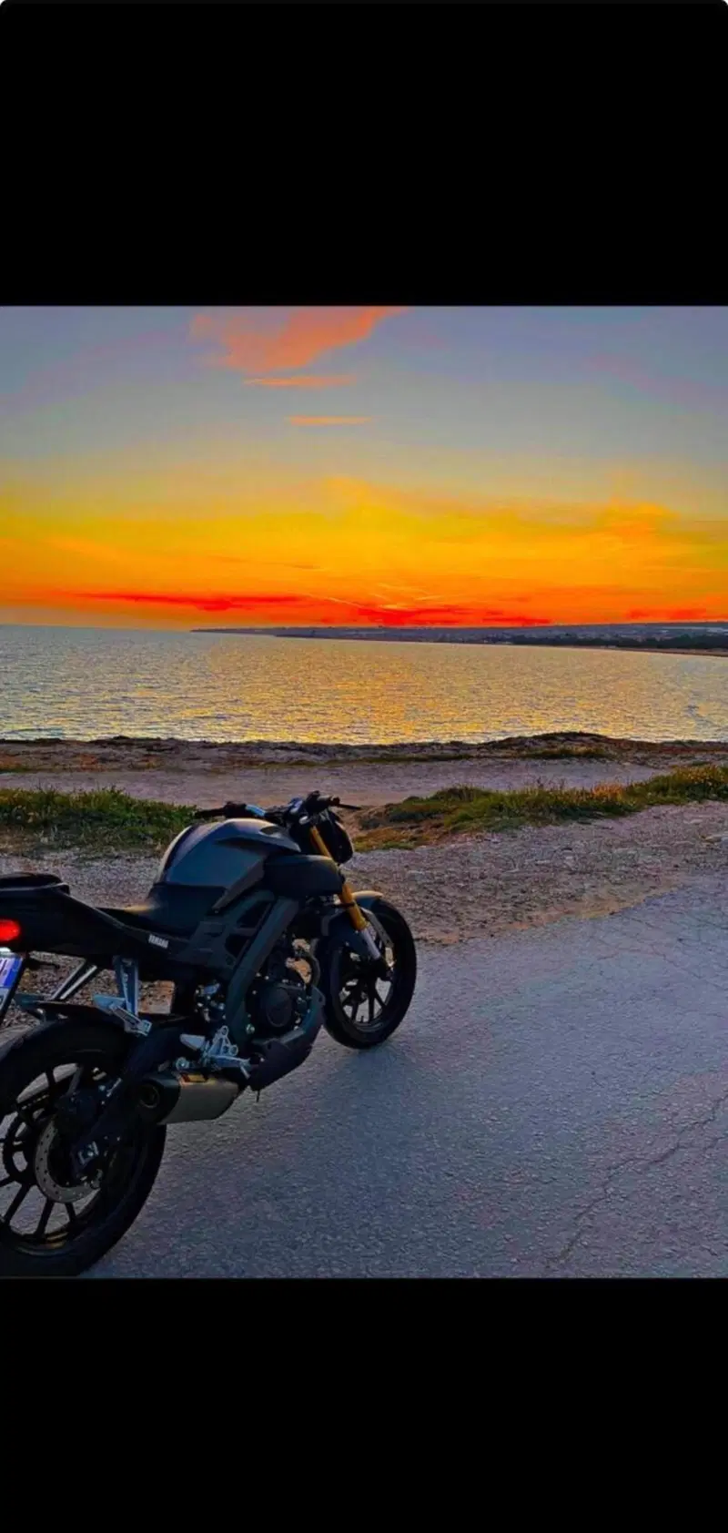 Yamaha MT-125 ABS (2015 - 16) (2)