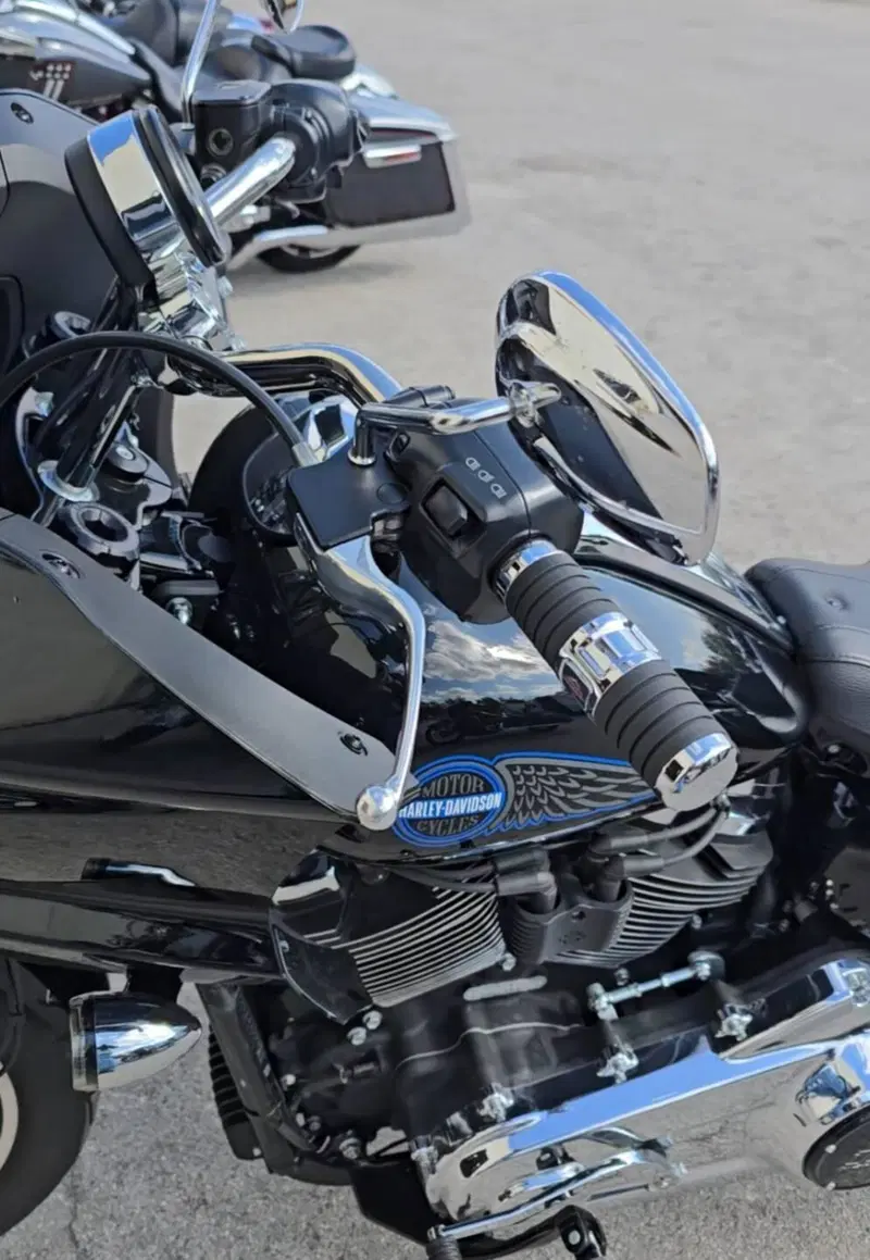 Harley-Davidson Low Rider ST (2025 - 26) (13)