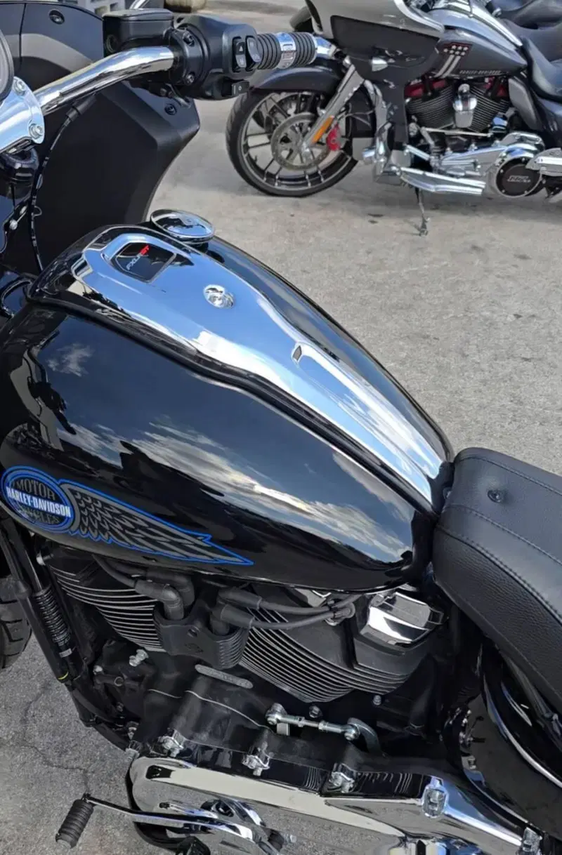 Harley-Davidson Low Rider ST (2025 - 26) (2)