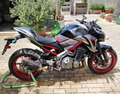 Kawasaki Z 900 Performance (2019) usata