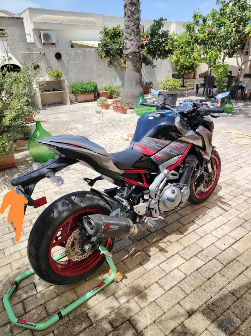 Kawasaki Z 900 Performance (2019) (2)