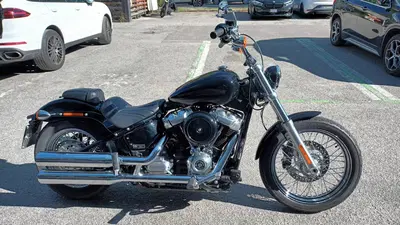 Harley-Davidson Softail Standard (2021 - 25) usata