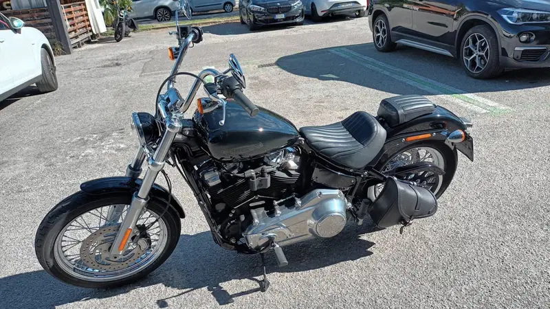 Harley-Davidson Softail Standard (2021 - 25) (2)