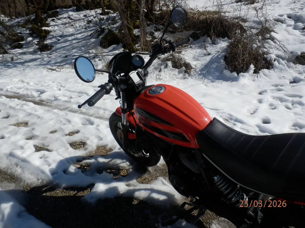 Ducati Scrambler 400 Sixty 2 (2016 - 21) (6)