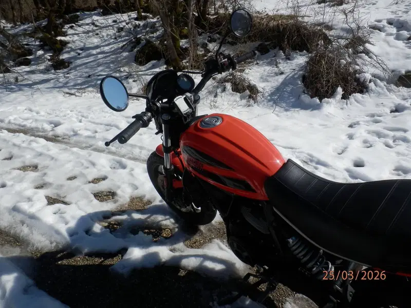 Ducati Scrambler 400 Sixty 2 (2016 - 21) (6)