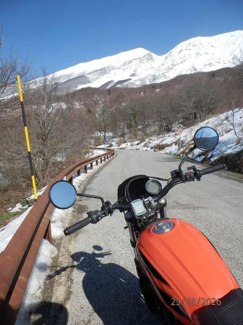 Ducati Scrambler 400 Sixty 2 (2016 - 21) (7)