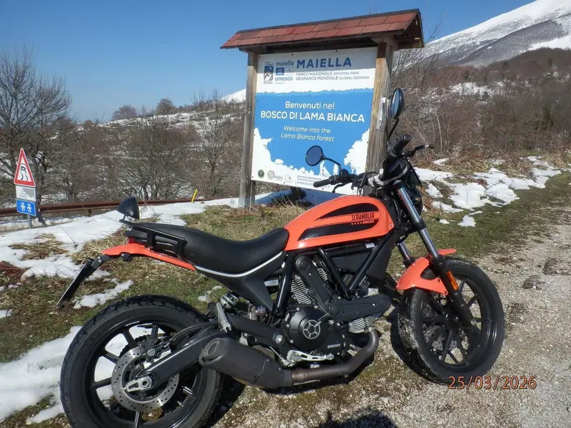 Ducati Scrambler 400 Sixty 2 (2016 - 21) (8)