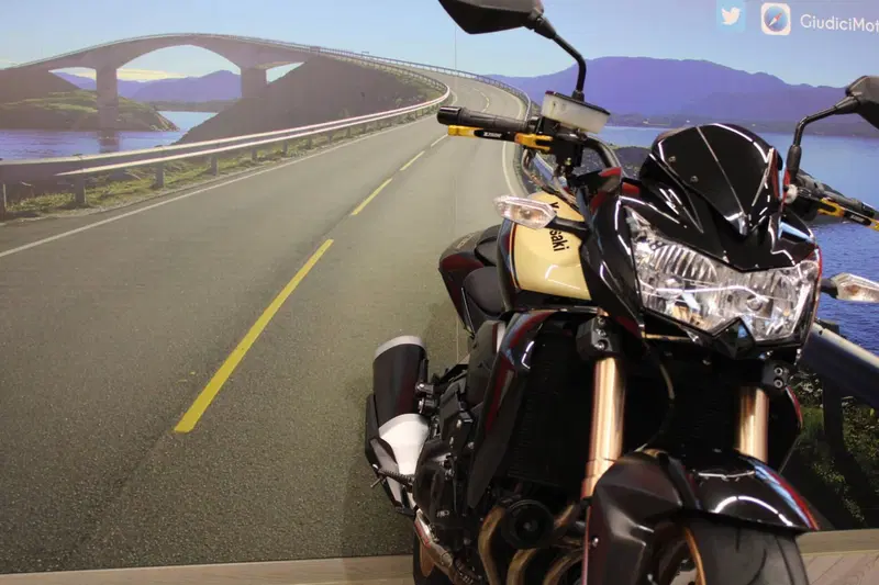 Kawasaki Z 750 R (2011 - 14) (10)