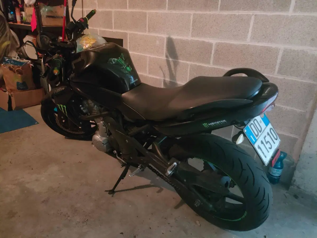 Kawasaki ER-6N (2005 - 08)